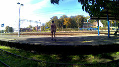 20221006_113107A.mp4_snapshot_00.22.974.jpg