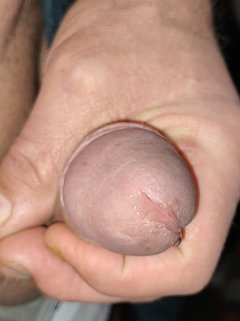 IMG_20240204_083419.jpg