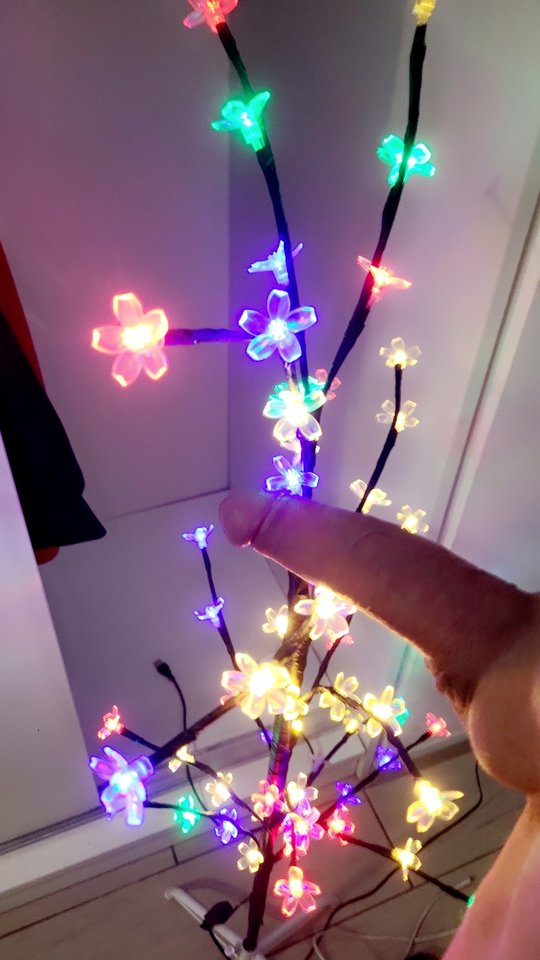 Snapchat-1773861267.jpg - DonMedro