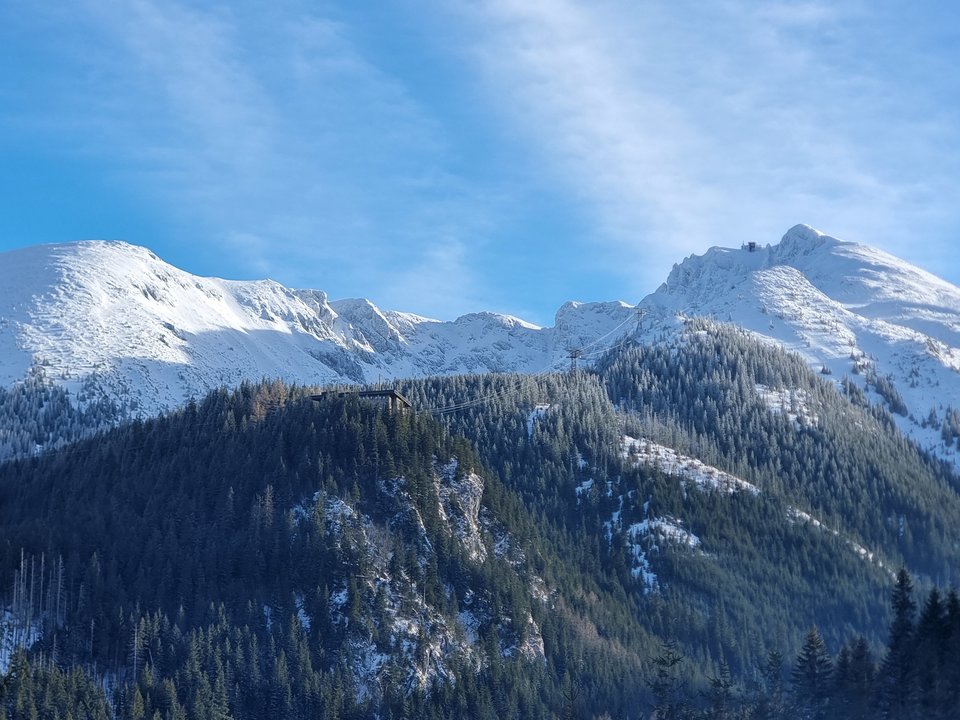 1000017369.jpg - thorrtom