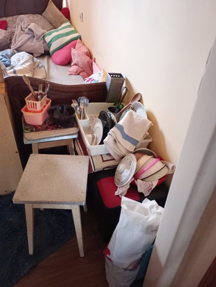 IMG_20240204_103830.jpg - pulchna65