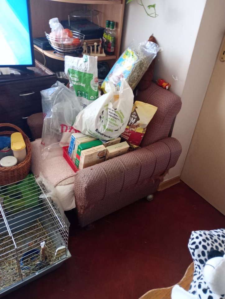 IMG_20240204_103809.jpg - pulchna65