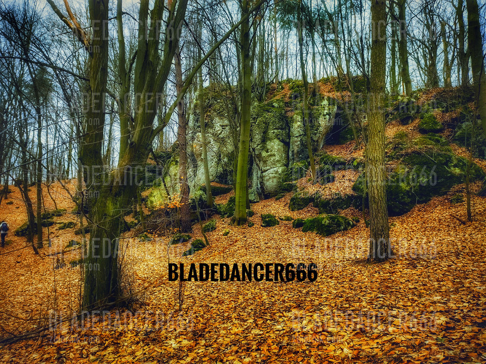 IMG_20240204_141754429_HDR-01.jpeg - Bladedancer666