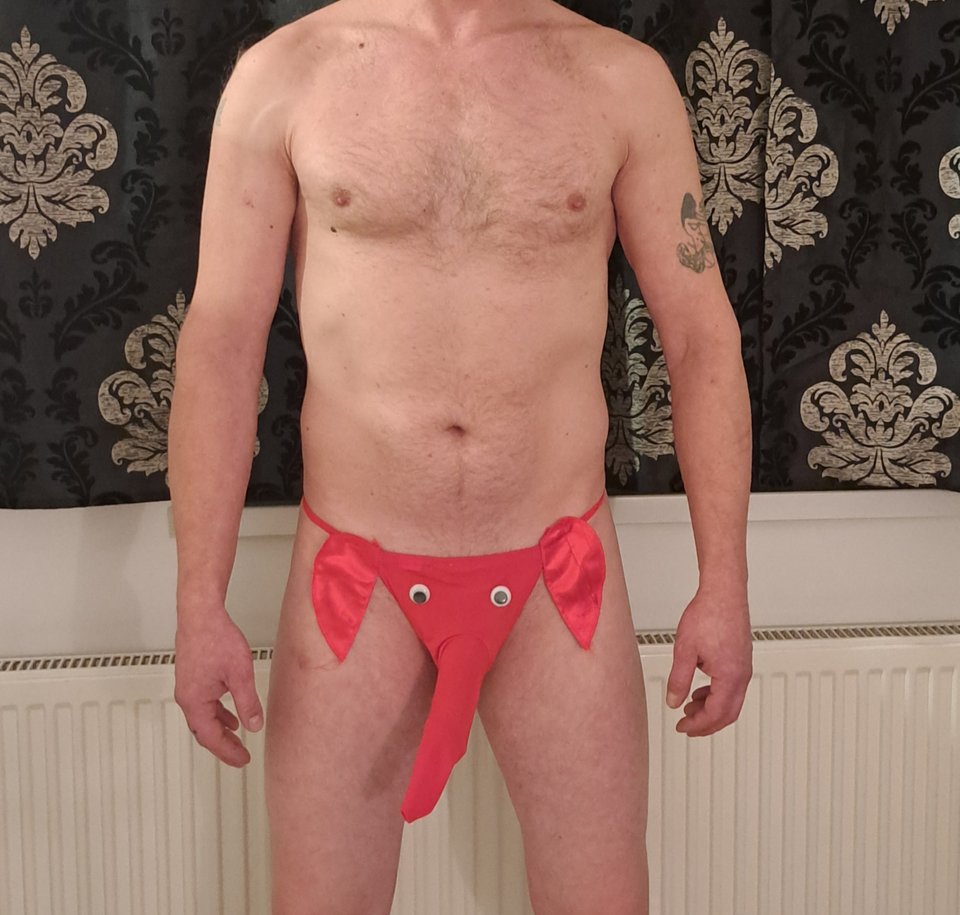 IMG_20240204_141720.jpg - szalonaparka76