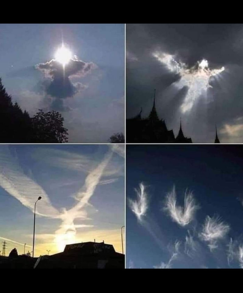 1000002050.jpg - leon79a