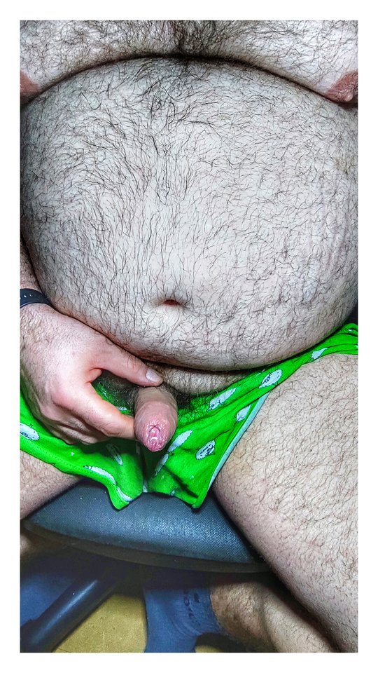 1707523432701-01.jpeg - PuszystyLubuskie