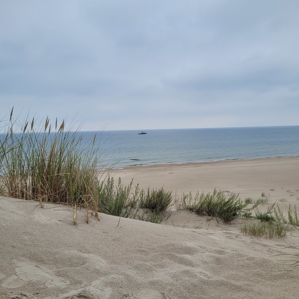 20230826_122231.jpg - Komar831