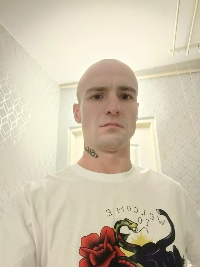 Wajdet