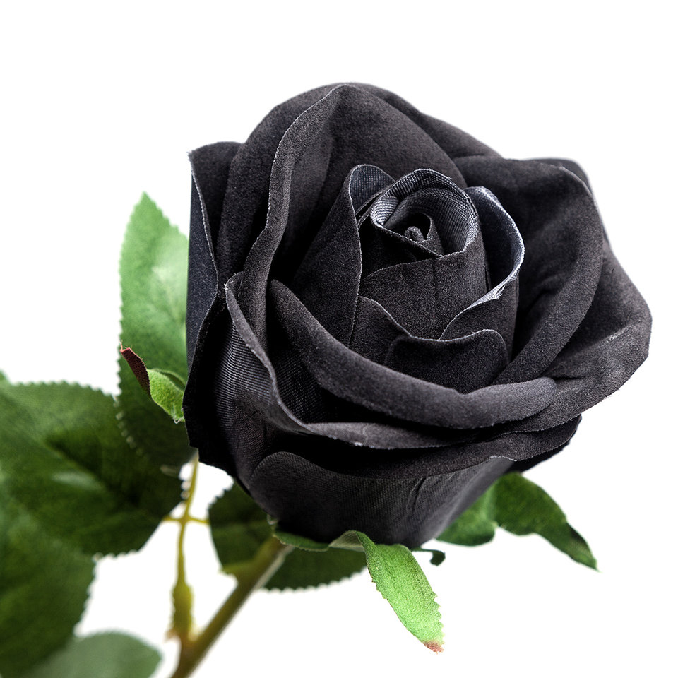 pol_pl_roza-czarna-BLACK-IMITATION-ROSE-15715_2.jpg - Kosmateus69