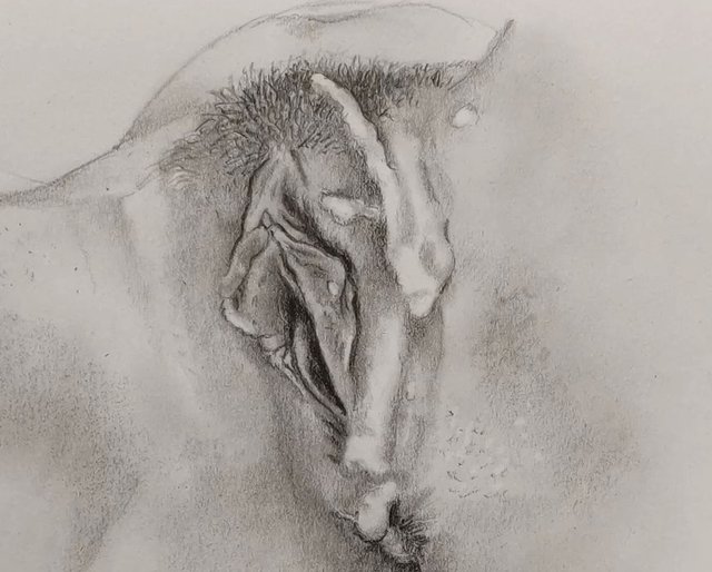 Screenshot_20240216_055017_Instagram.jpg - szalonaparka76