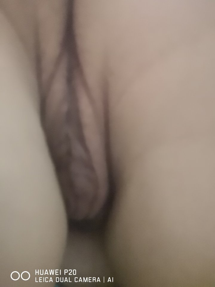 IMG_20240218_191750.jpg - ONAION7088