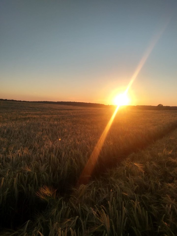 IMG-20220610-WA0000.jpg - AAParka3