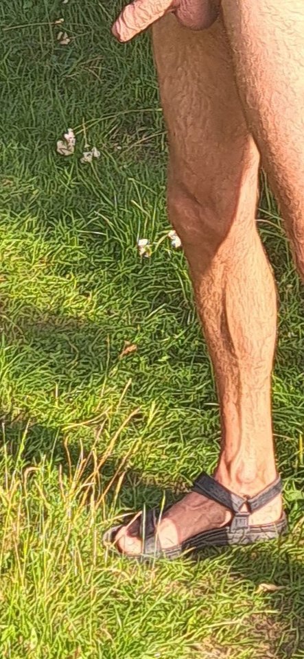 1000006800.jpg - Prosty16