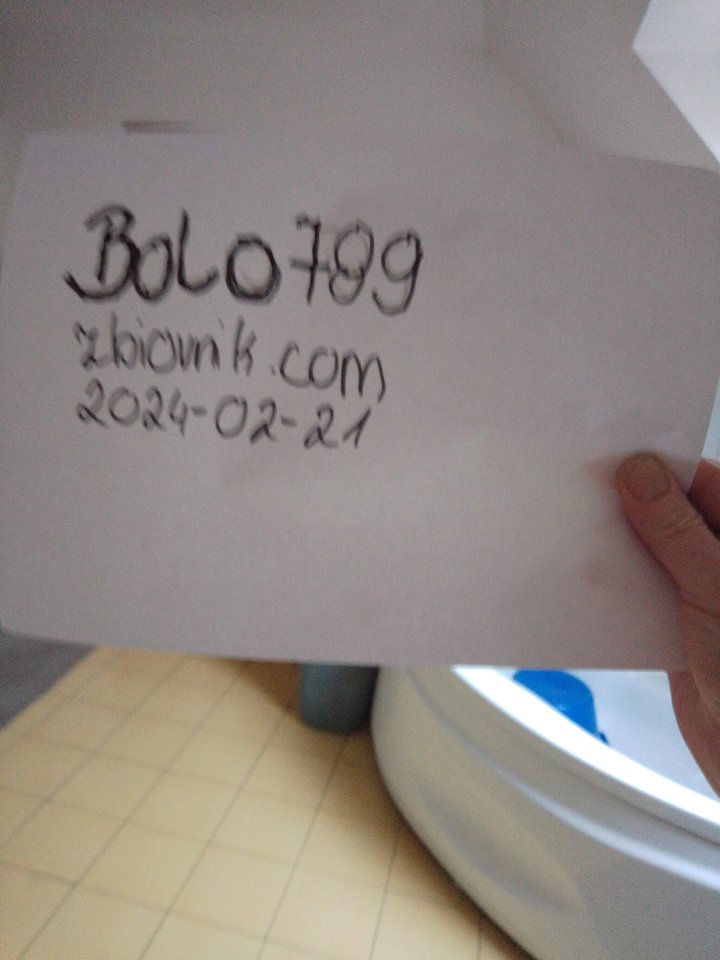 17085055414927545365033161225150.jpg - Bolo789