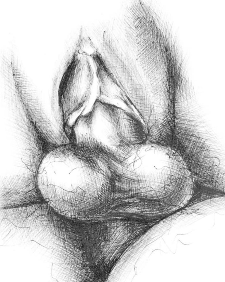 Screenshot_20240217_180634_Instagram.jpg - szalonaparka76