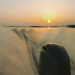 IMG_20190615_230812_898.jpg
