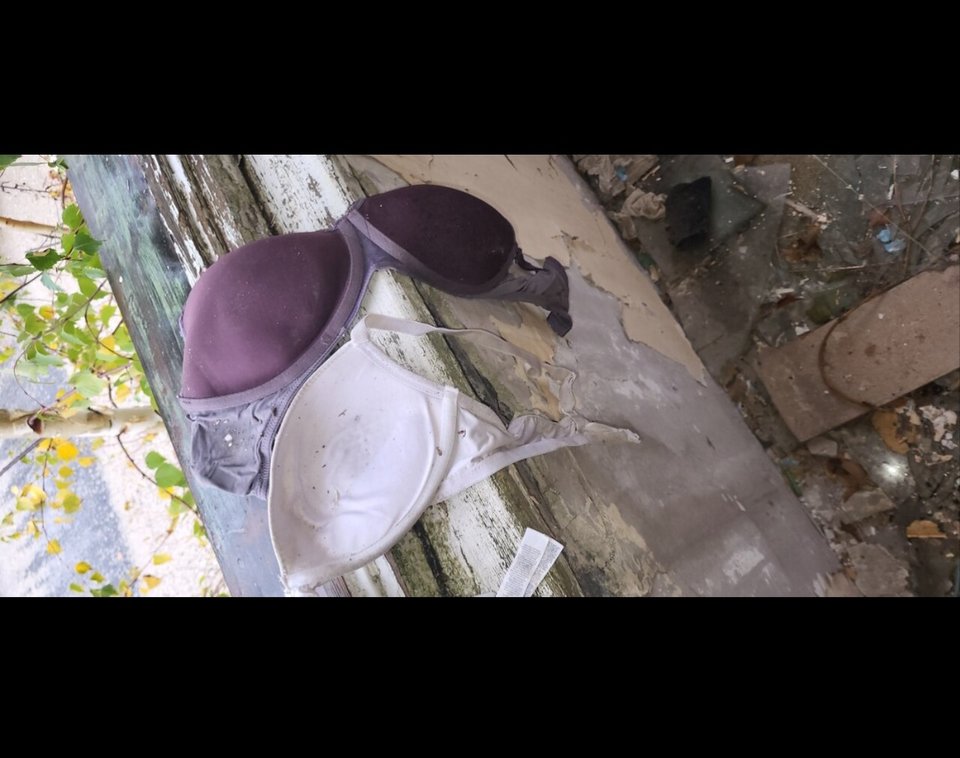 Screenshot_20240125_183505_Samsung Internet.jpg - BESTIALITY