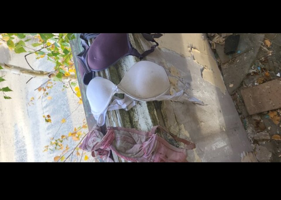 Screenshot_20240125_183526_Samsung Internet.jpg - BESTIALITY