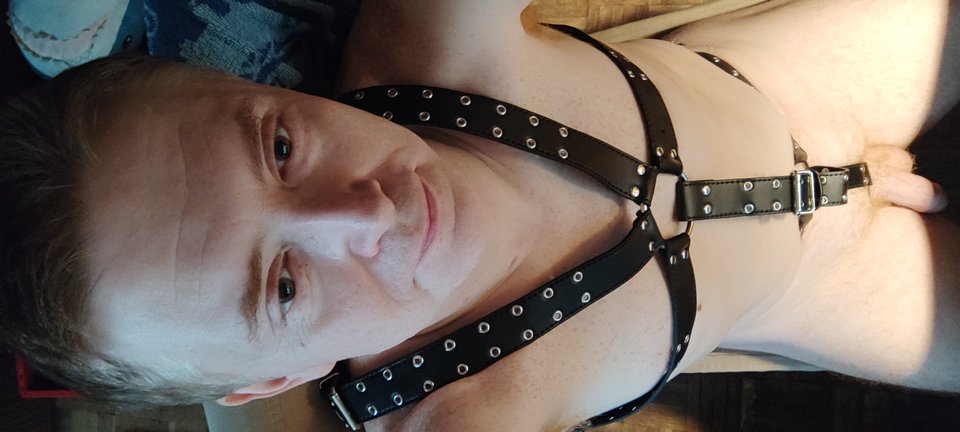 1000026808.jpg - tygrysekl