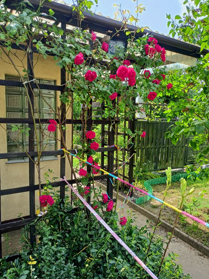 IMG20230622113052.jpg - Zapamietaj3