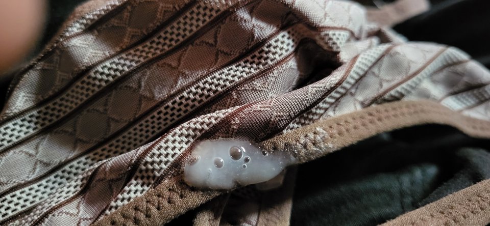 20230706_173203.jpg - BESTIALITY