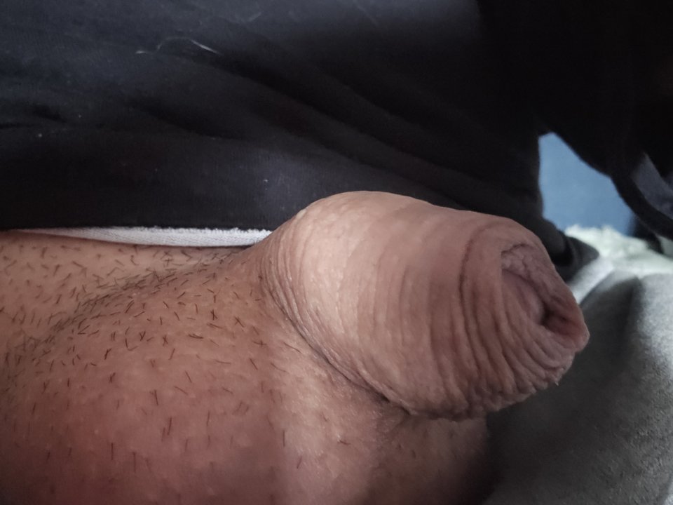 17088732199977074652357594330816.jpg - Areczek1971