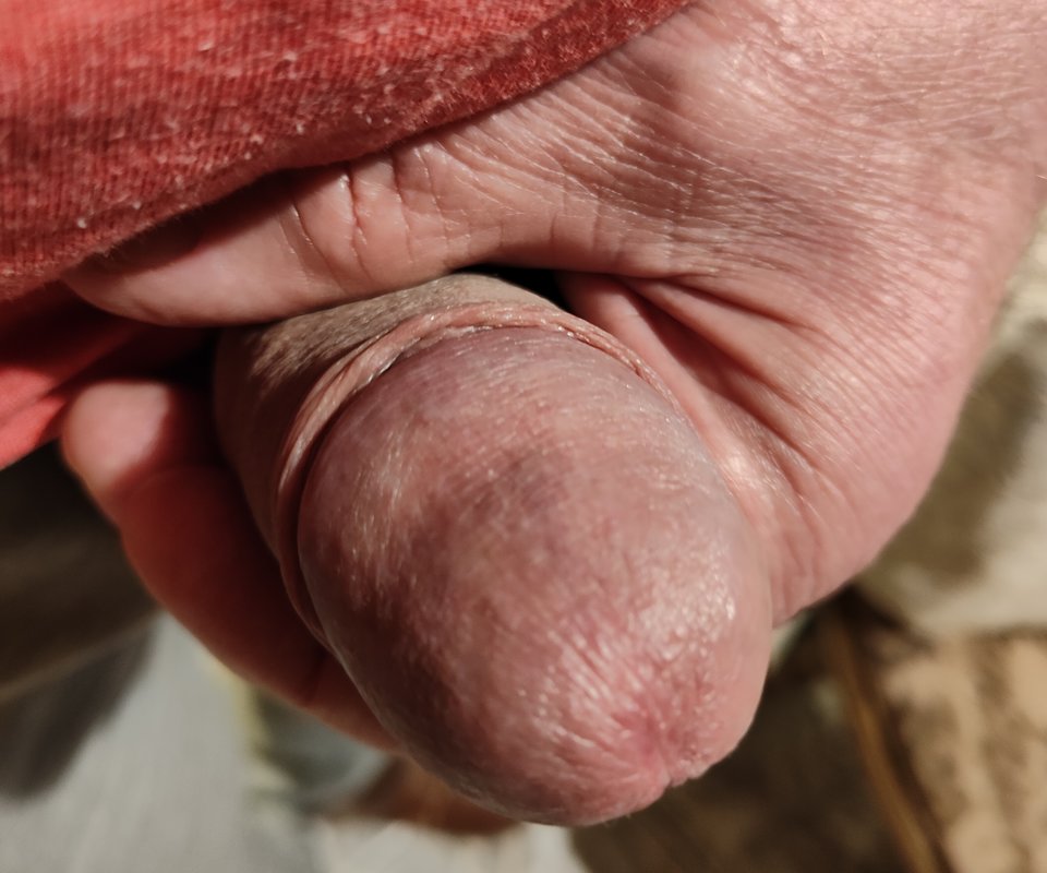 1000013714.jpg - jogan