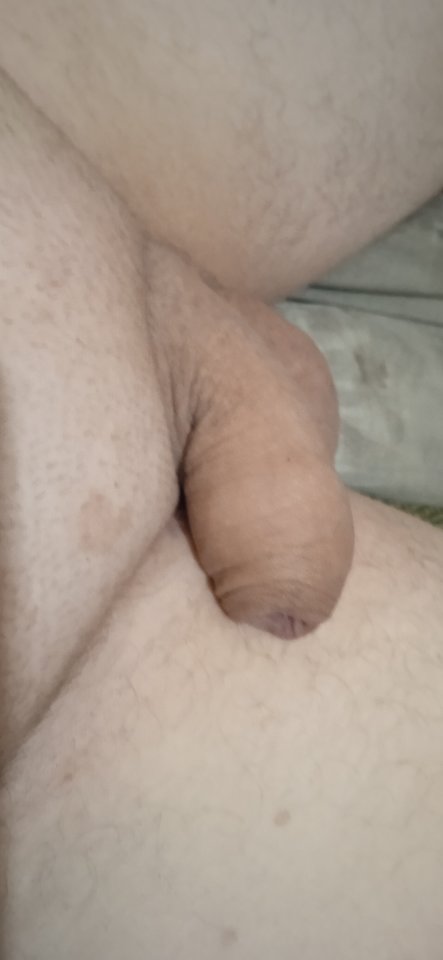 IMG_20240227_222338.jpg - maxsii990