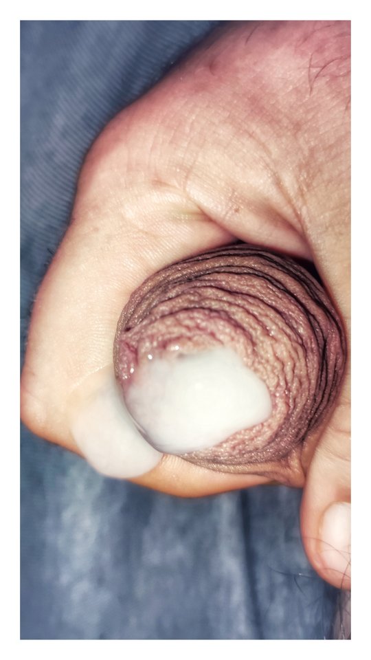 1709071713971-01.jpeg - PuszystyLubuskie