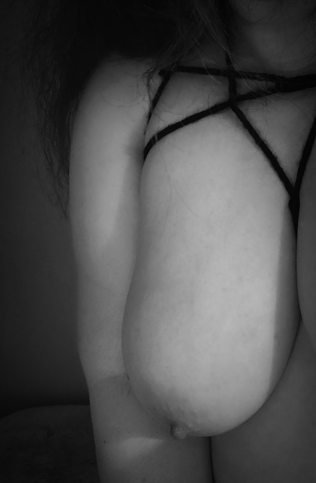 Erotictales_Isabel