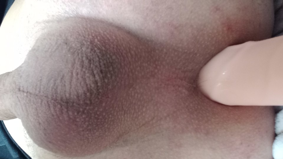 20240229_092845.jpg - Anallove1979