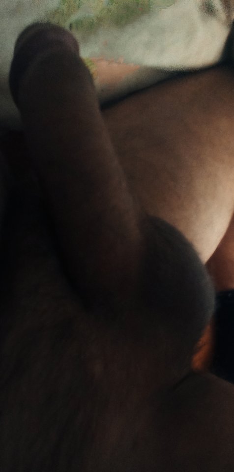 IMG_20240229_111543.jpg - Pancock