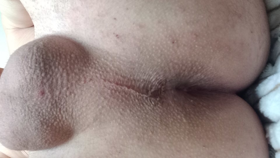 20240301_082213.jpg - Anallove1979