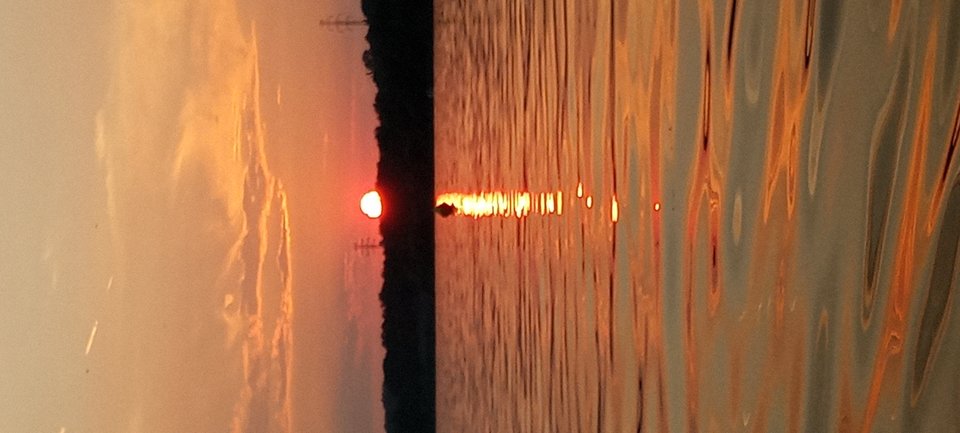 IMG_20230819_194449.jpg - damian198911