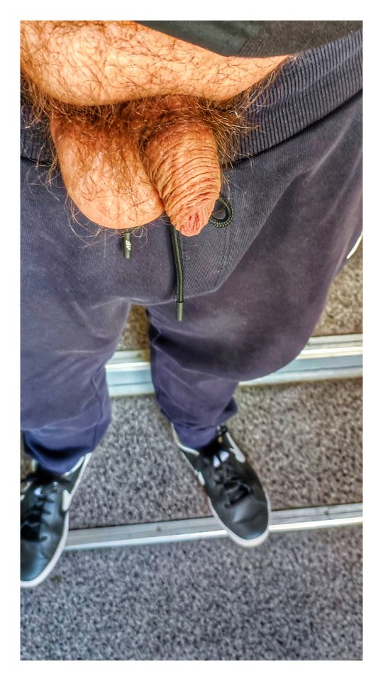 1709372567184-01.jpeg - PuszystyLubuskie