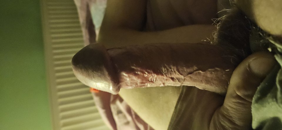 1000020026.jpg - TomekMisiek12345