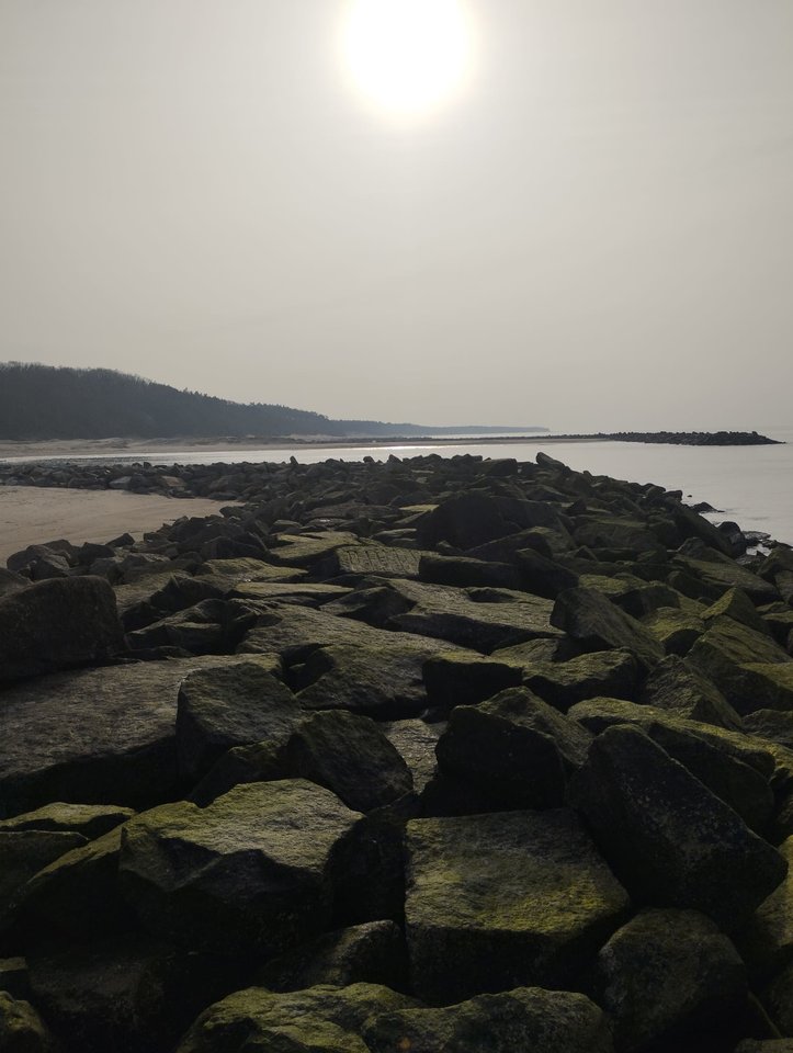 IMG-20240302-WA0054.jpg - Szkp1973