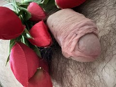 IMG_1186.JPEG