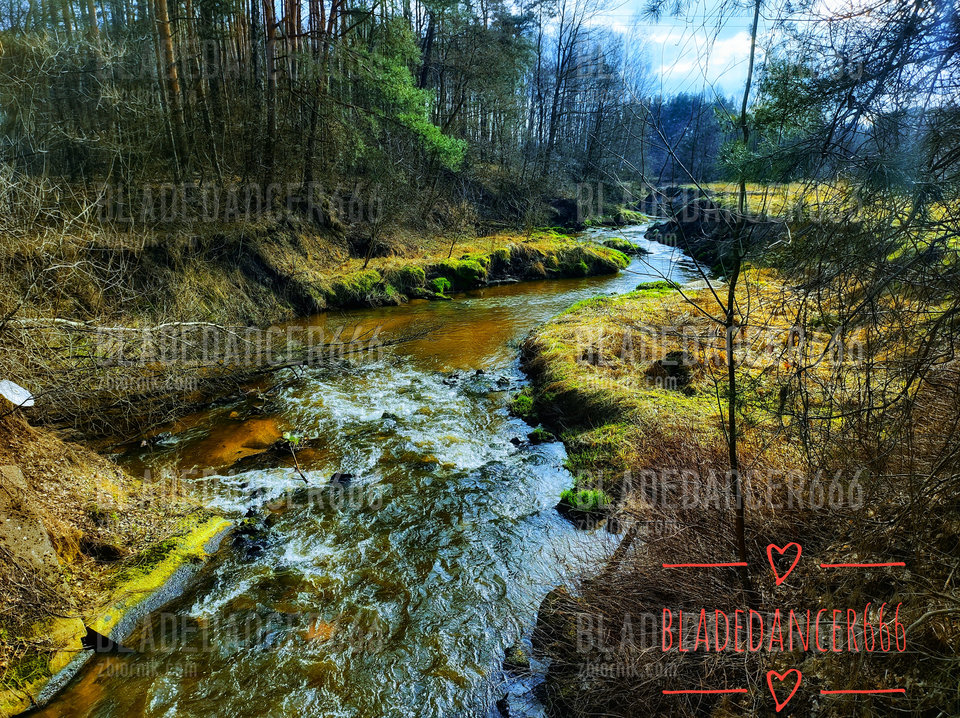 1000031078-02.jpeg - Bladedancer666