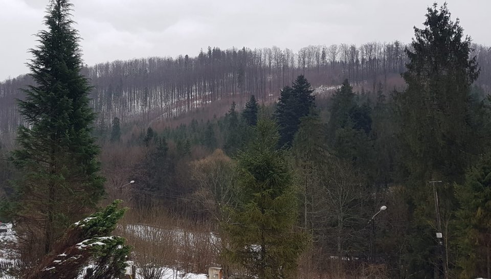 1000004138.jpg - Kyr40