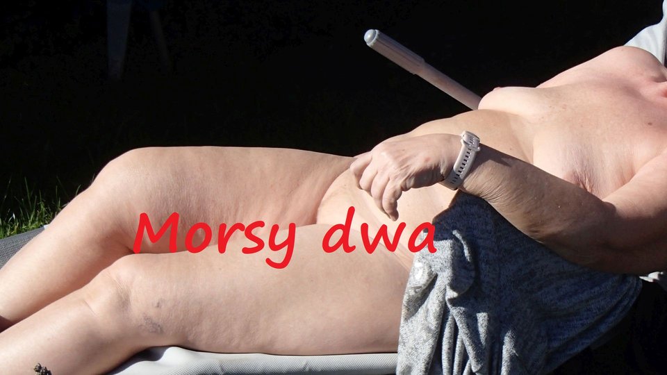 W słoneczku ! - Morsy_dwa