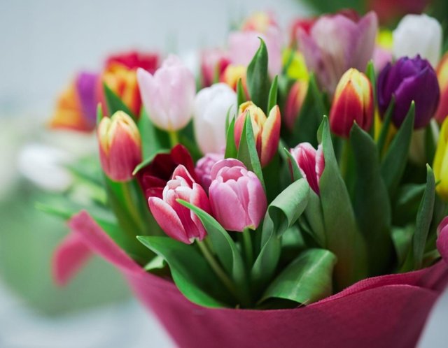 Screenshot_20240308_075317_Google.jpg - Maximus34