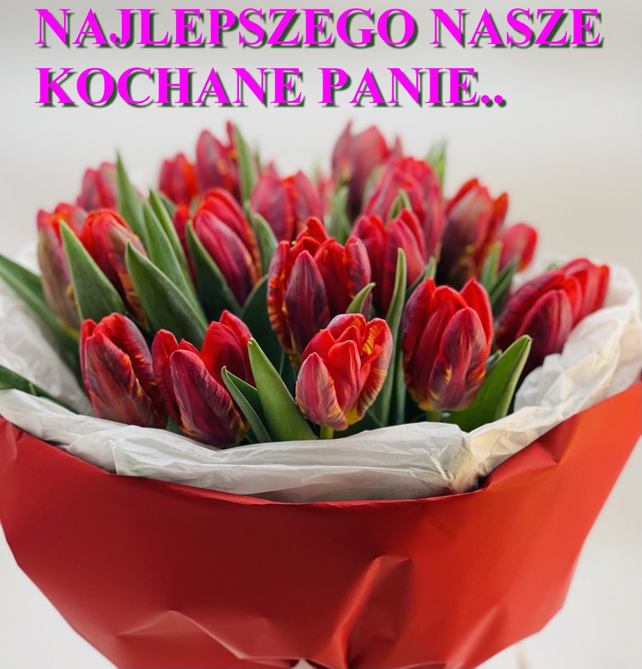 img_9841-1-scaled.jpeg - Gonzo64