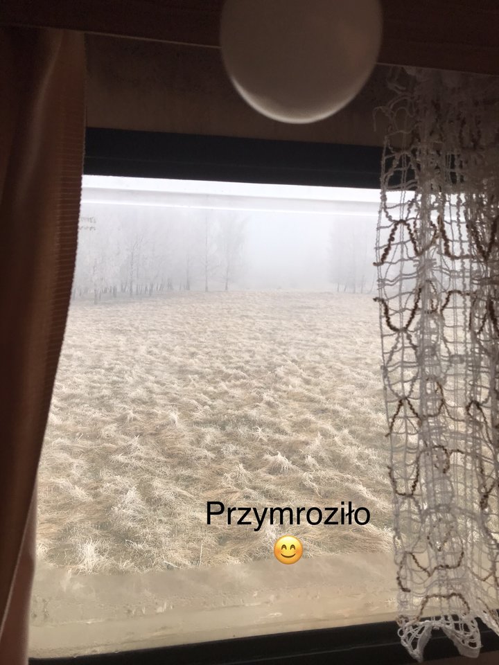 2DD5082C-362B-4F5B-AEBC-B7E78194DC55.jpeg - Aniolmak