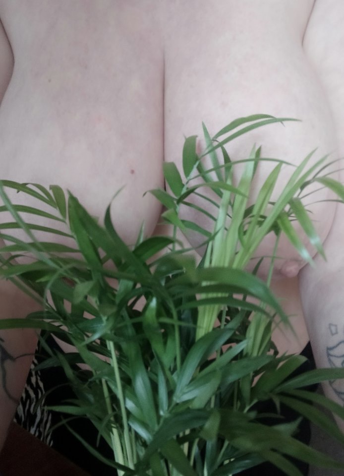 IMG_20240309_160637.jpg - Ona33On48