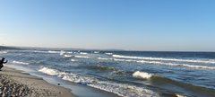 IMG_20240310_154949.jpg