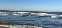 IMG_20240310_154937.jpg