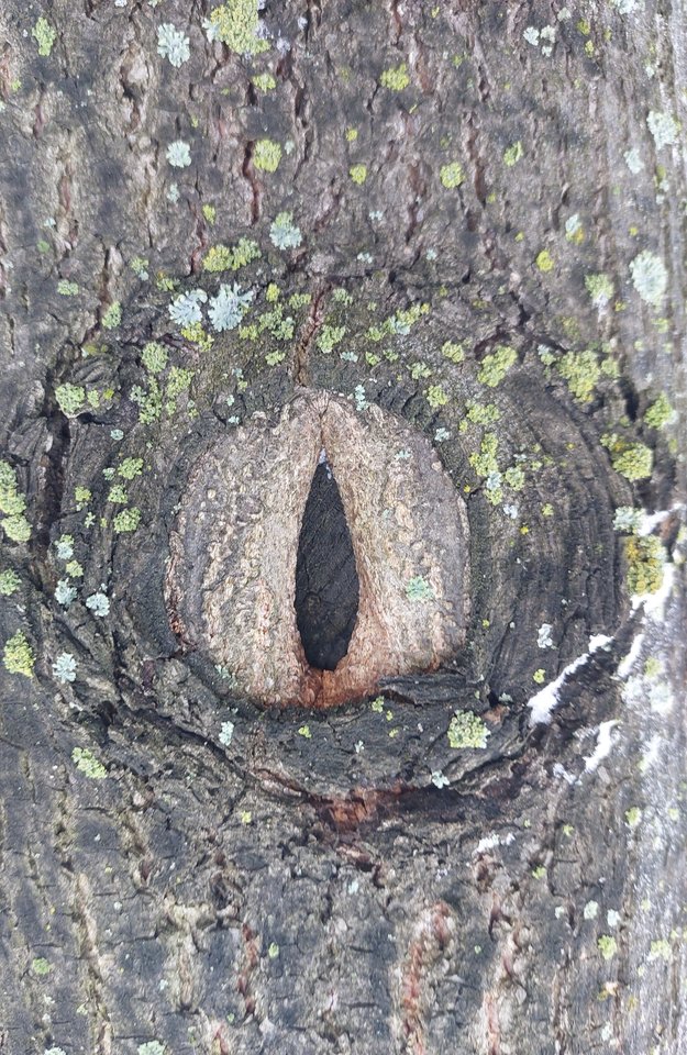 20240112_094340.jpg - dzidka30