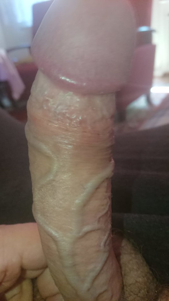 11106.jpg - Falcon96