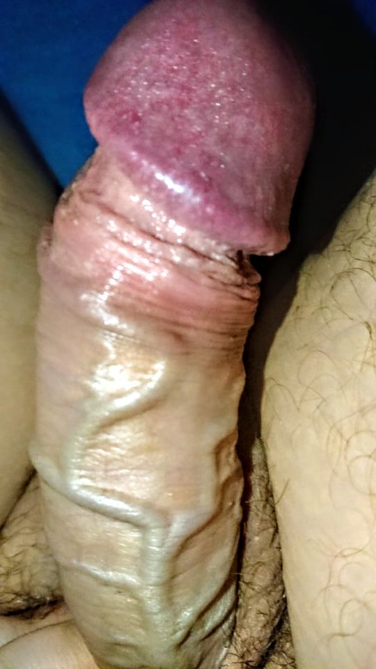 11165.jpg - Falcon96